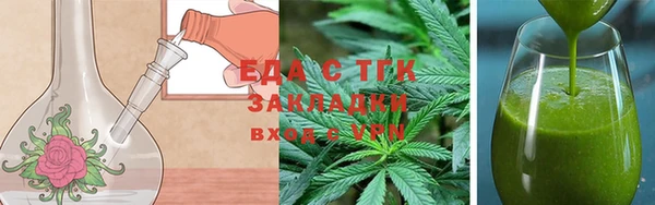 кокс Касимов