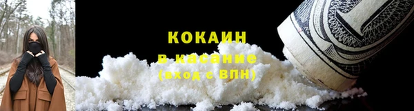 кокс Касимов