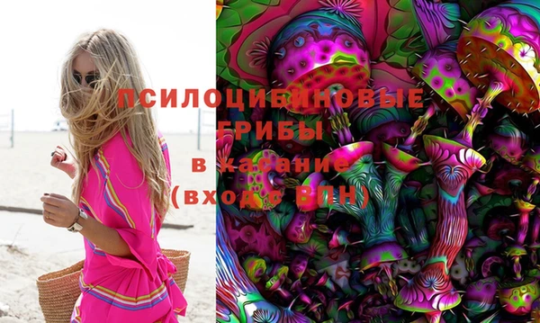 кокс Касимов