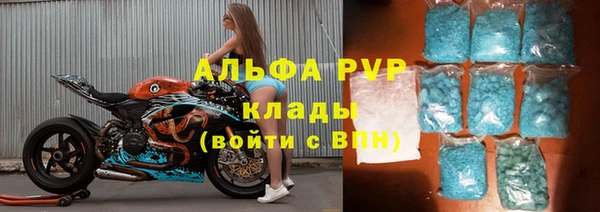кокс Касимов