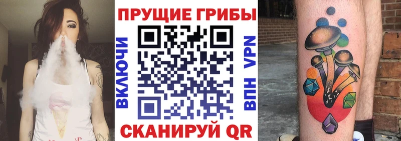 Купить где  Бабаево  Галлюциногенные грибы MAGIC MUSHROOMS 