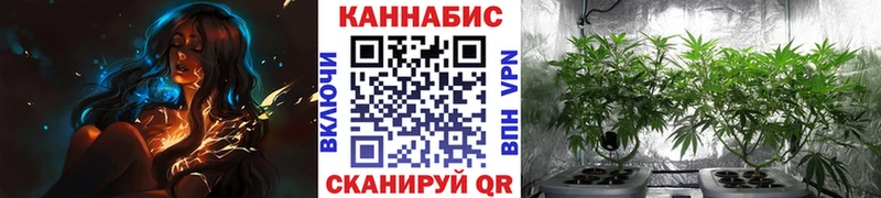 Купить где  Бабаево  Каннабис VHQ 